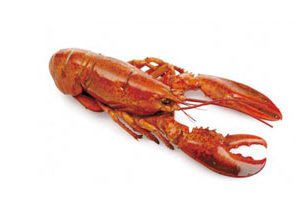 Crustacés